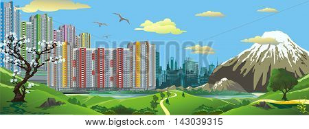 Panorama. Landscape - the view from the hill at the modern Asian city. Sakura. The volcano. Vector illustration