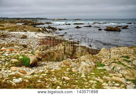Pacific Ocean Asilomar State Marine Reserve California