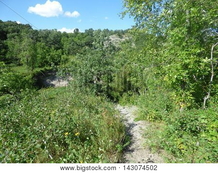 A steep pathway though a deep heavily treed abandoned coulee or canyon.