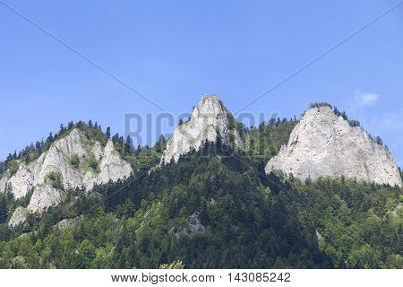 View on Three Crowns Massif in Pieniny Mountains in sunny day Poland