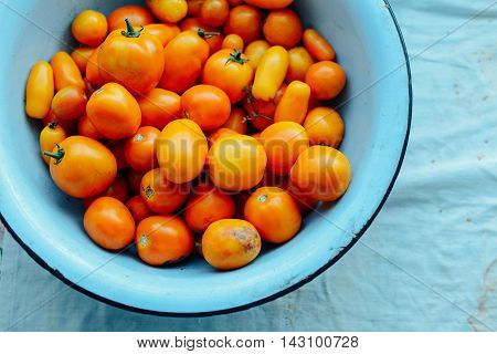 Tomato On Wooden Table. Freshly Picked Red Tomatoes. Variation O