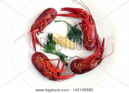 Four prepared crayfish color red with dill and lemon isolated on white plate top view close-up