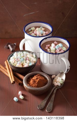 hot chocolate with mini marshmallows cinnamon winter drink