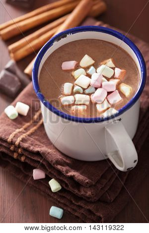 hot chocolate with mini marshmallows cinnamon winter drink