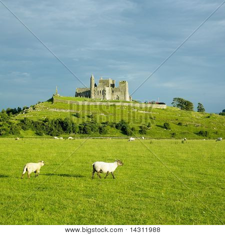 Rock Of Cashel, County Tipperary, Irland