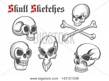 Halloween skulls sketch isolated icons. Artistic abstract shapes of cranium and crossbones for cartoon, label, tattoo, t-shirt print poster, decoration