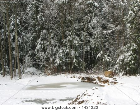 Forår sne Scene