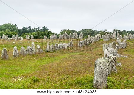 scenery around the Carnac stones a megalithic site in Brittany France