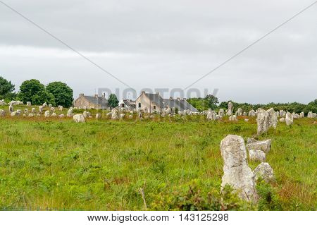 scenery around the Carnac stones a megalithic site in Brittany France