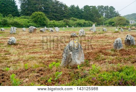 scenery around the Carnac stones a megalithic site in Brittany France