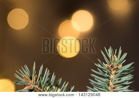 Christmas background with needles and color llights