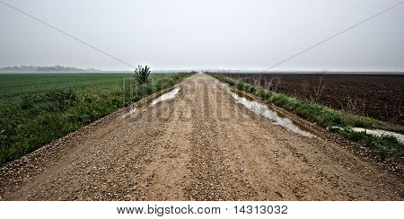 Campo