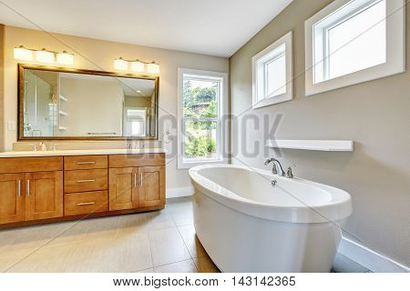 Bathroon Interior With Vanity Cabinet, Two Sinks And White Bath Tub.