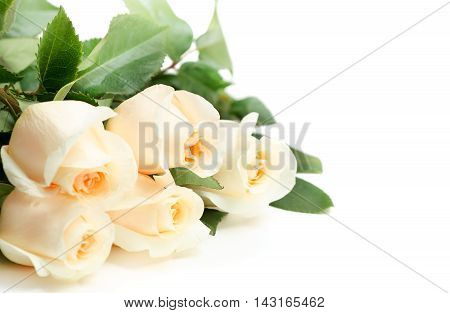 The Bouquet of five white roses. Close up