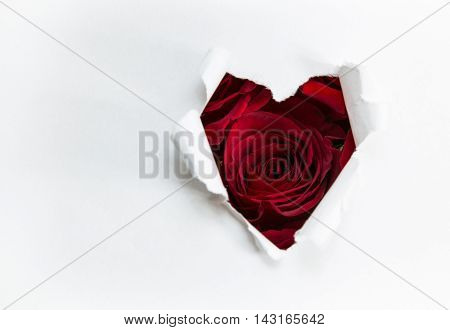 The heart of paper and red roses