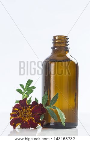 Small bottle of essential oil Tagetes flowers extract