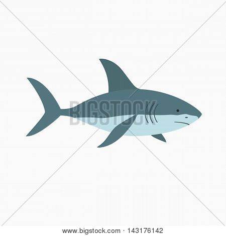 Vector illustration shark isolated on white background