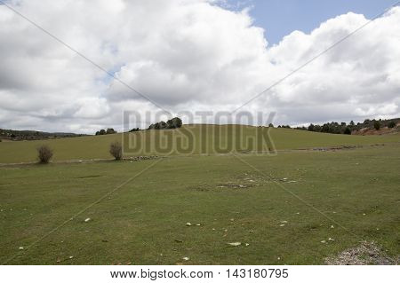 Field Soria in Soria, Castilla leon, Spain