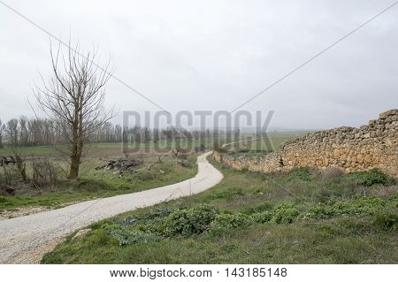 Road Almenar de Soria in Soria, Castilla leon, Spain