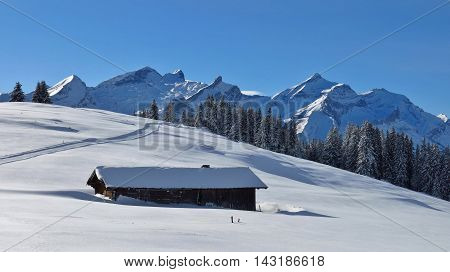 View from Mt Wispile Swiss Alps. Mt Oldenhorn. Winter scene near Gstaad.