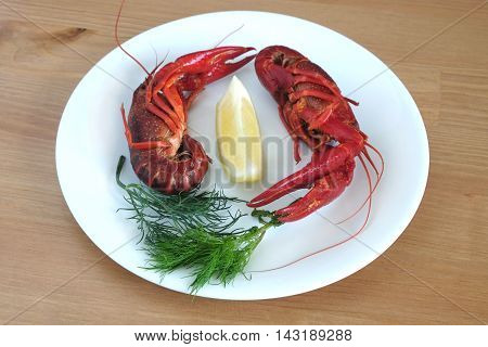 Two prepared crayfish color red with dill and lemon isolated on white plate top view close-up