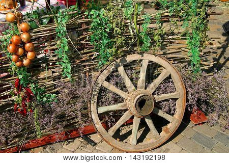 On the exhibition. Hedge wheel wild flowers V