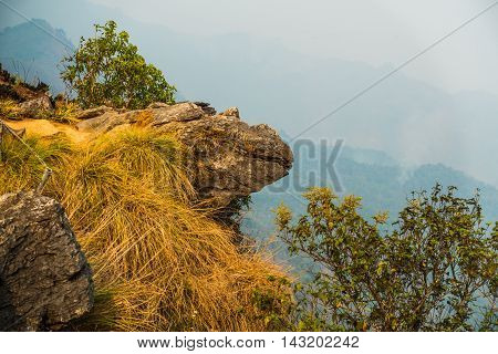 The peak of the mountain and Clouds Phu Chi Fa in Chiang Rai City Thailand