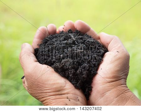 soil for planting on farmer hand over green background