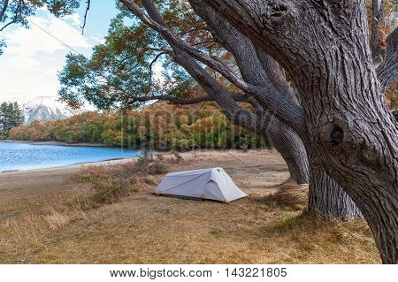 Campsite At Lake Pearson / Moana Rua Wildlife Refuge Located In Craigieburn Forest Park In Canterbur