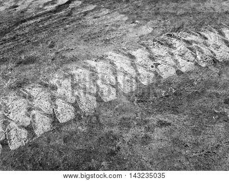 Folk lift Tire track on contrete floor