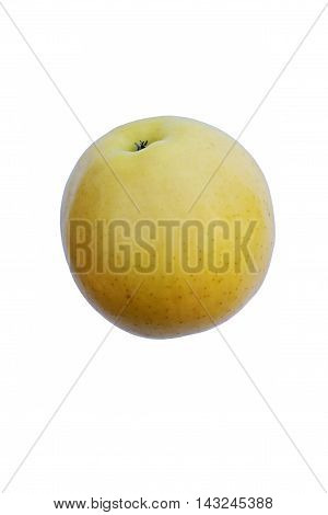 Golden Delicious apple (Malus domestica Golden Delicious). Image of single apple isolated on white background