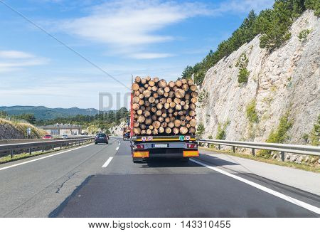 Truck carrying wood on highway. Wood processing industry.