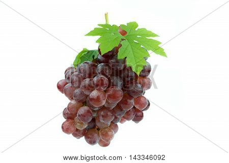 fresh food red grape isolated  vine  purple