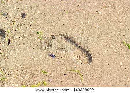 Background wet sand of sea beach with a imprint of women feet