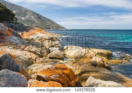 A beach in a remote part of the Freycinet Peninsula in Tasmania, Australia