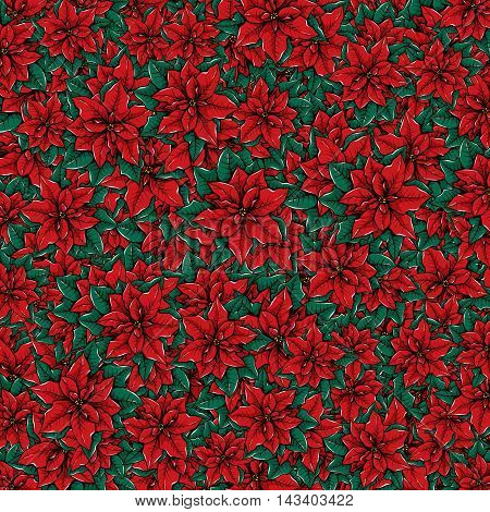 Pretty decorative flower pattern filled with poinsettia.