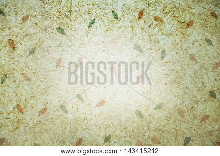 Mulberry paper cosmos petals and grass on white Sa Paper texture background it's handmade from parish Bosang province Chiang Mai north of Thailand