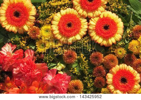 Different yellow en red flowers with some green