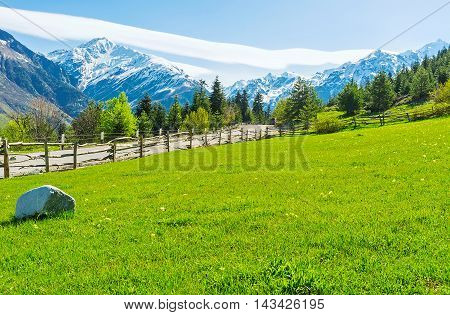 The juicy green grass in the meadow on the mountain with the view on the snowy peaks of Caucasus Samegrelo-Zemo Svaneti Georgia.