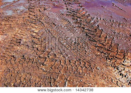 Tracce di pneumatici nel fango