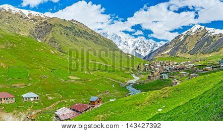 The green mountain slopes of Enguri gorge are the perfect place for animal grazing sightseeing and hiking popular among tourists Ushguli Upper Svaneti Georgia.