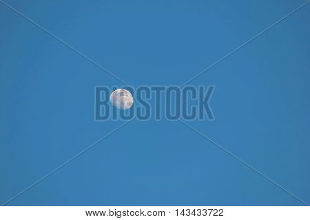 Moon in the daytime at the summer .