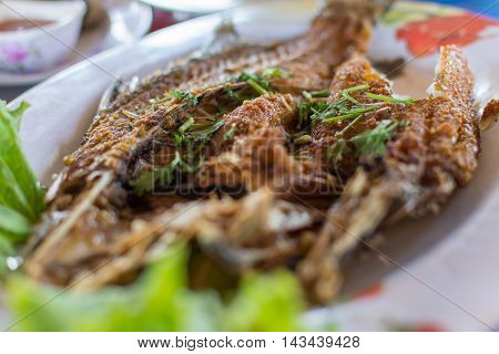 Fish Fried Fish Sauce