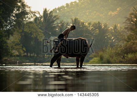 Asia boy riding water buffalo in countryside .