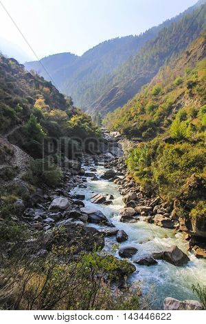 Forest scenery with river among the mountains of Langtang valley one of the popular trekking route in Nepal