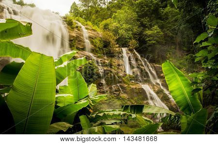 Waterfall lies in misty tropical rain forest