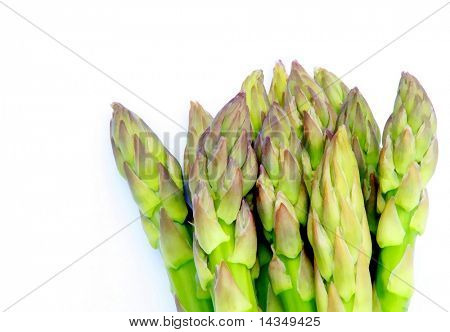 Chřest tipy na bílém pozadí