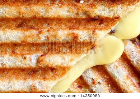 Un primo piano di un panino al formaggio alla griglia fusione su pane integrale, con segni di griglia.