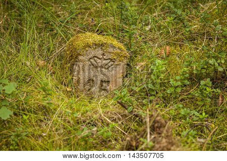 a very old milestone found in a danish forrest