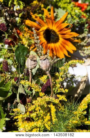 handmade beautiful bouquets from flowers and herbs